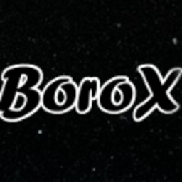 BoroX