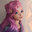 Nicolle