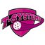 TSYSTEMS