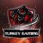 Turkey Gaming (was deleted at: 2021-12-06T22:52:02.2258304Z)