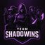 Team SHADOWINS