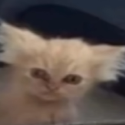luquitozys2